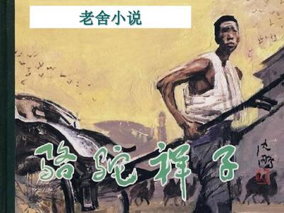猫咪app官网社区